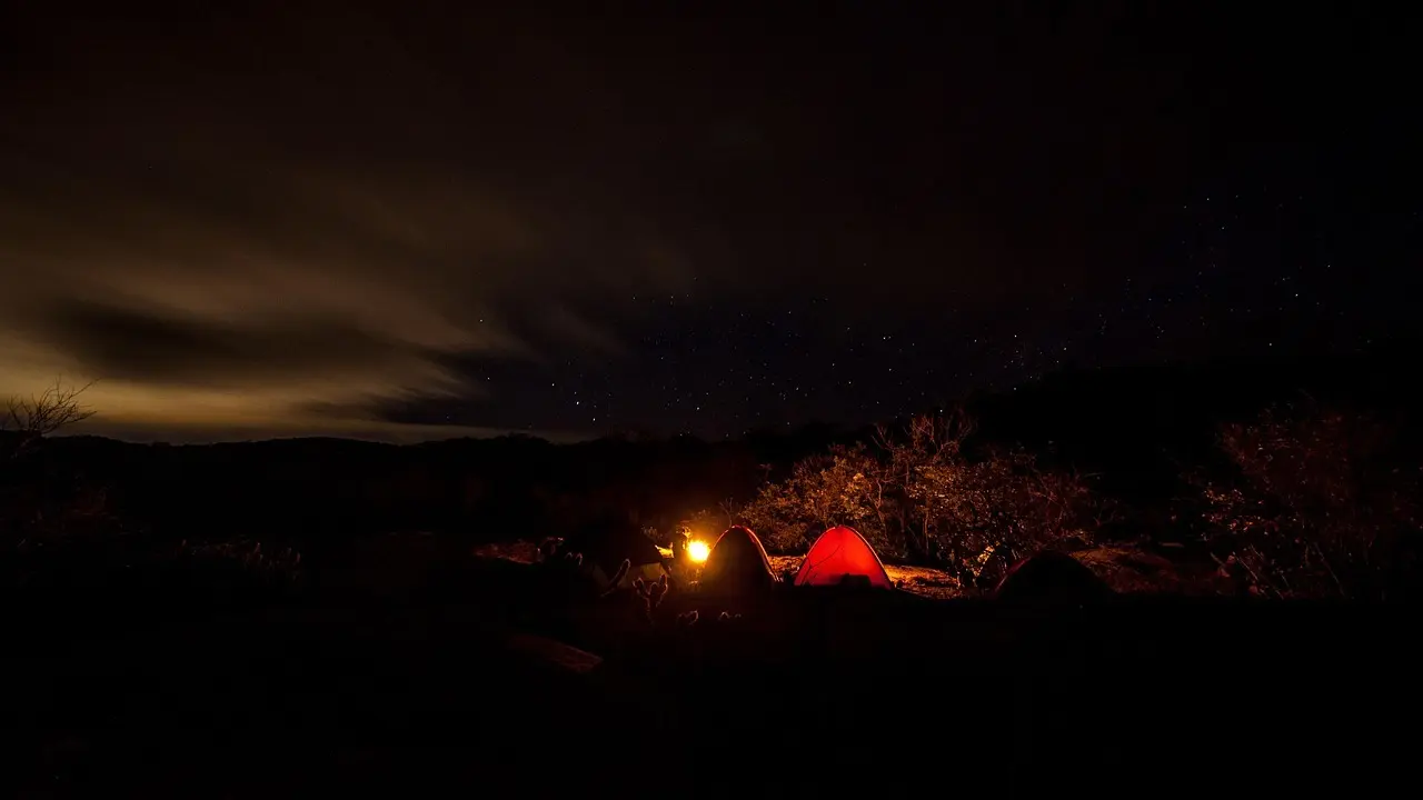 Teltpløkker: sådan vælger du den rigtige type til sand, grus og skovbund