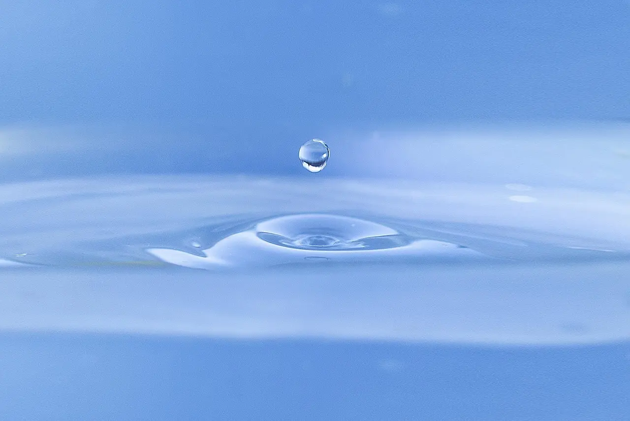 Sådan tømmer du toiletkassetten lugtfrit på camping