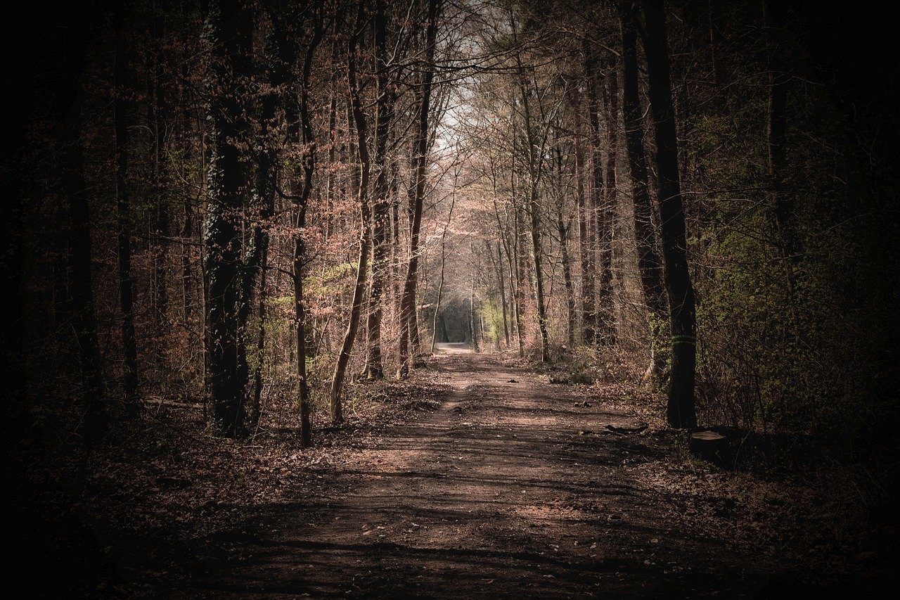 Stille Krydsord