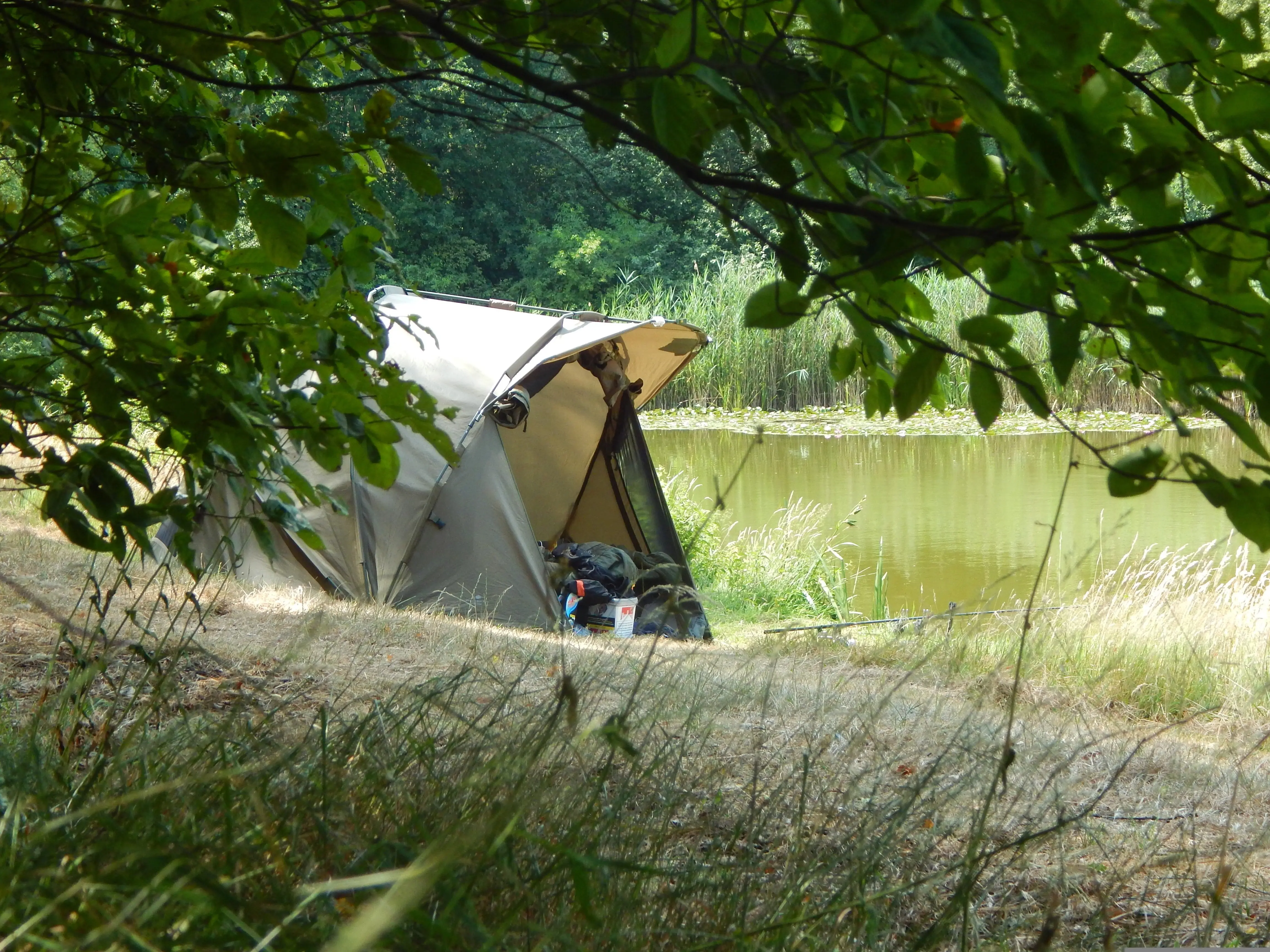 Derfor er en enkel overnatning ude ofte den bedste genvej til mere friluftsliv