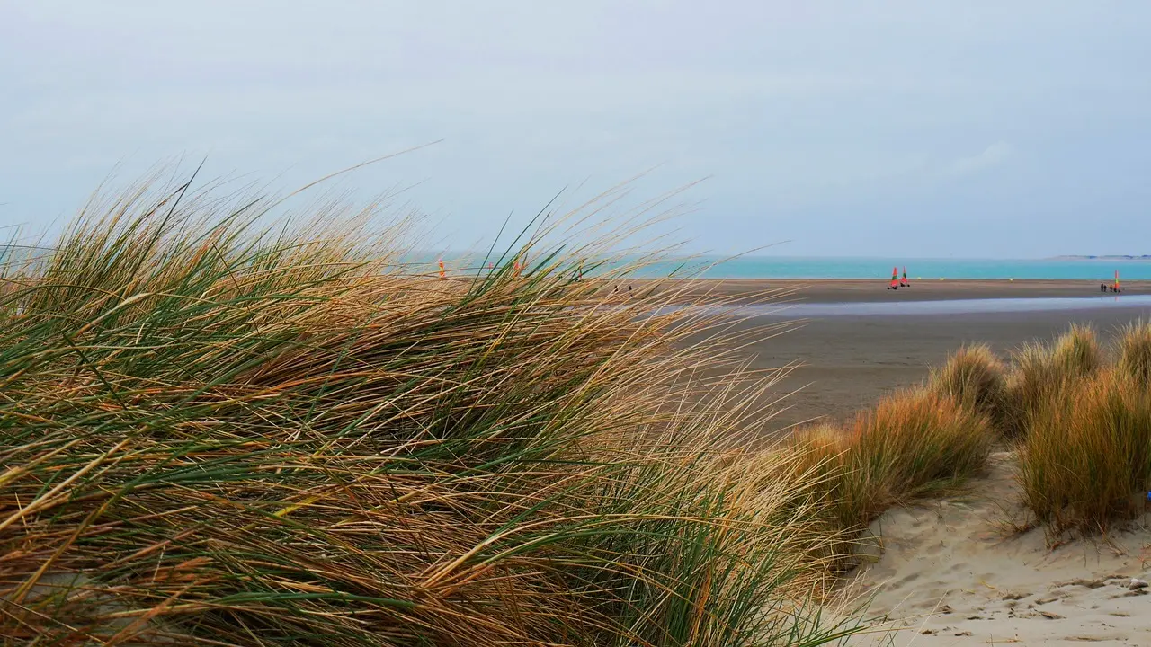 Hvor finder du drikkevand i klitplantager?