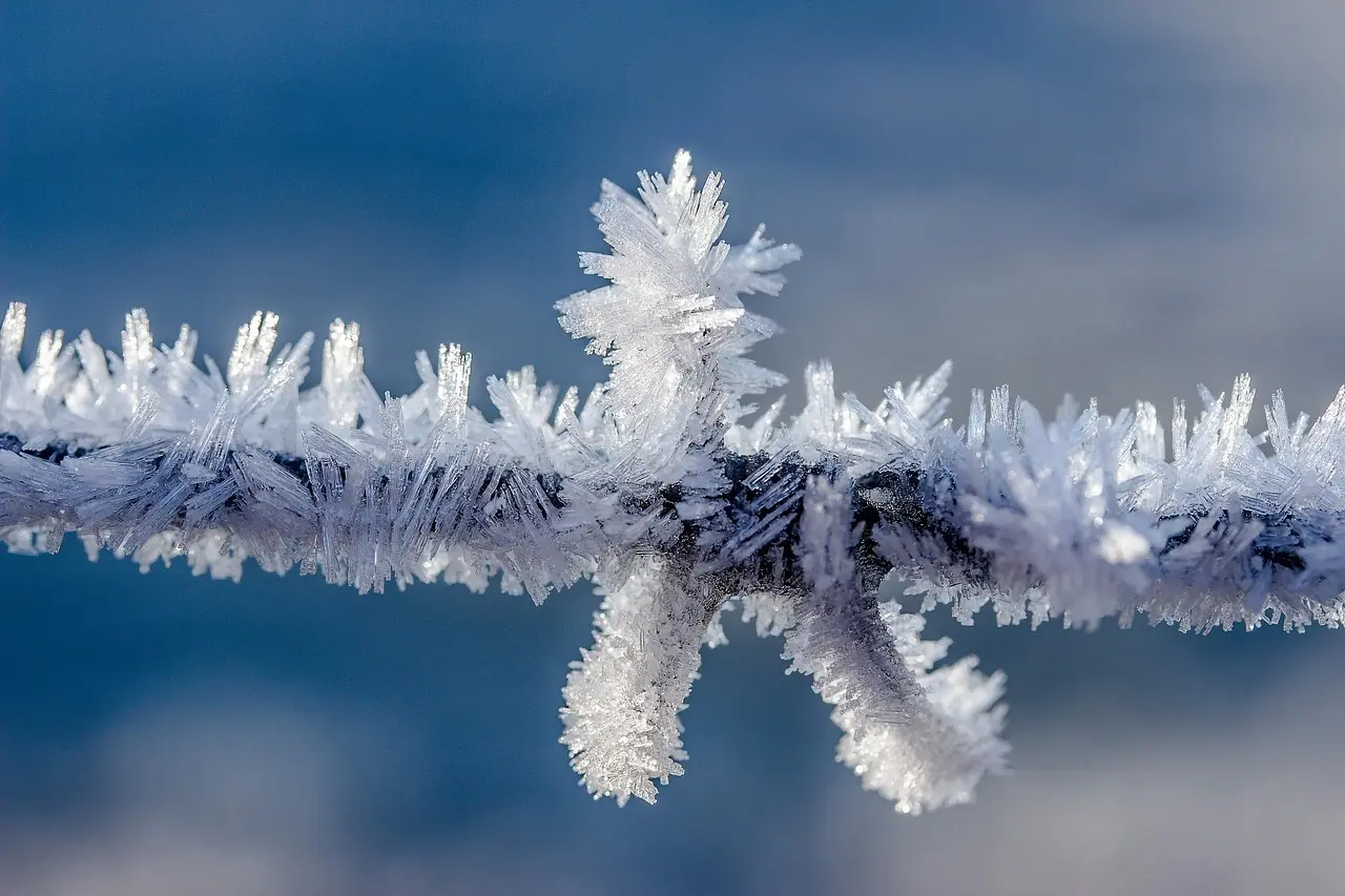 Sådan vælger du sovepose til vinterture i −5 °C