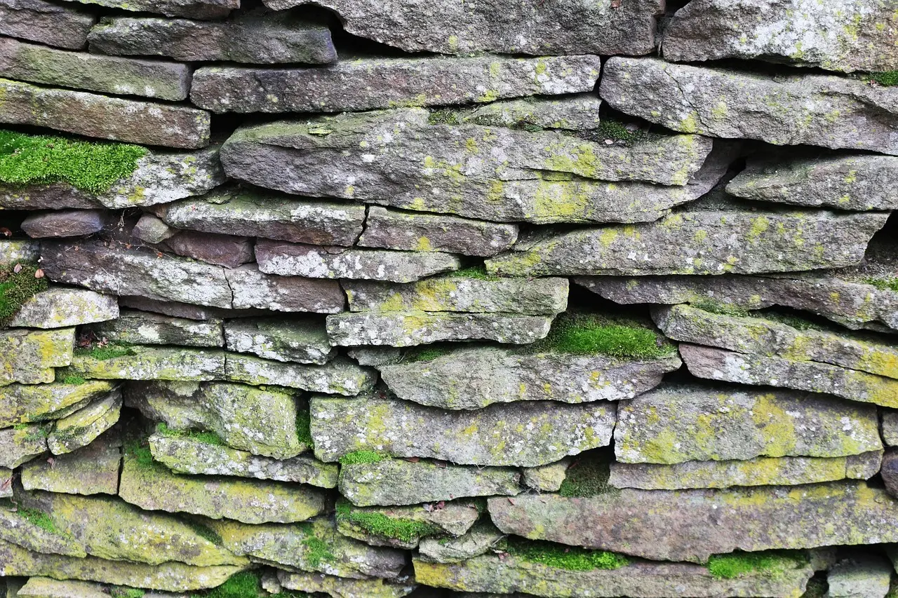 Sådan bygger du et stengærde til gavn for nyttedyr i haven