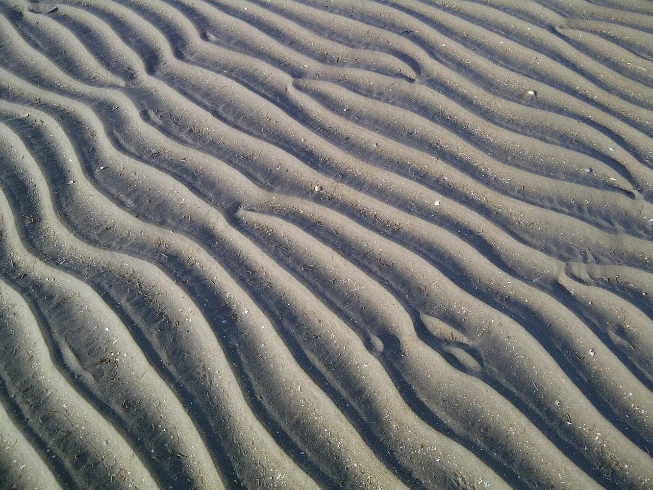 Sådan bruger du tidevandstabeller på kysttur