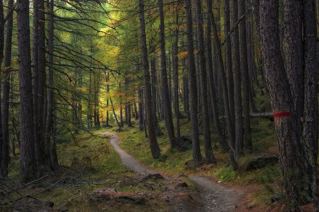 Dagtur på Hærvejen: rolig etape mellem Bække og Vejen