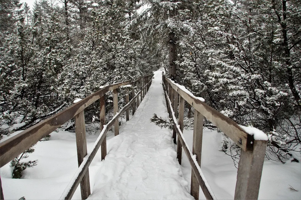 9 skjulte moser til morgendis i Midtjylland